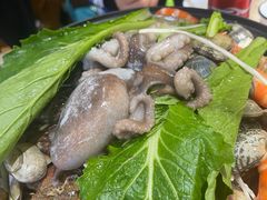 -北方饺子王·海肠捞饭·海鲜锅(山大店)