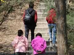 -北京十三陵国家森林公园蟒山景区