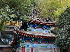 -罔极寺