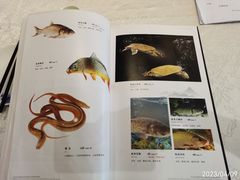 -竹涧府