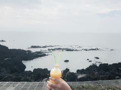 -涉地可支