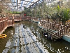 -呀路古热带植物园