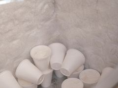 -洪馨椰子