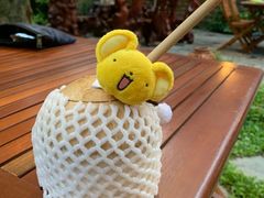 椰子-Lam Vien Restaurant