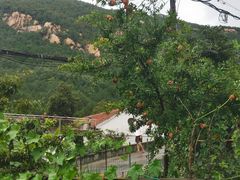 -泰山风景名胜区