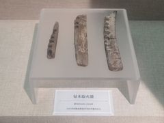 -巴音郭楞蒙古自治州博物馆