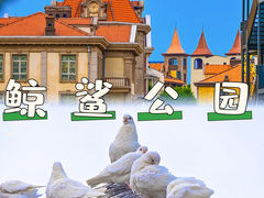 -烟台海昌鲸鲨海洋公园