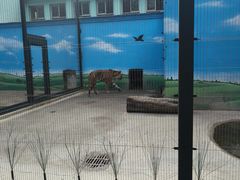 -保定市动物园