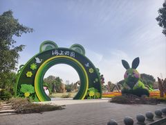 -海上田园
