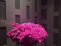 -丽晶大班SPA(大沽店)