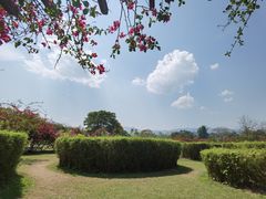 -中国科学院西双版纳热带植物园