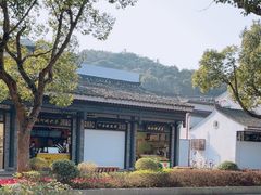 -枣子树·素食餐厅(普陀山店)