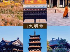 -何园