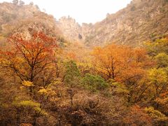 -北京上方山国家森林公园