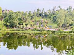 -枫香湖儿童公园