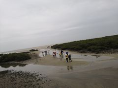 -北海金海湾红树林生态旅游区