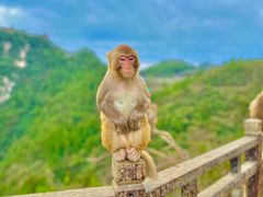 -重庆云阳龙缸景区