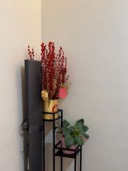 -苑苑vbeauty科技美容SPA