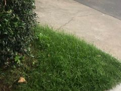 -中国移动(南京西路营业厅)