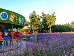 -羊亭河湿地公园