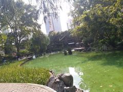 -静安公园(静安寺街道)