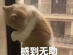 -满记甜品(荟聚购物中心店)