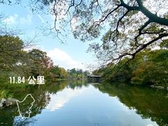 -凡老头米线砂锅(古荡新村西粮站)