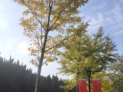 -上海市龙华烈士陵园