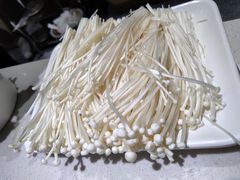 -古乐牛香·鲜牛肉牛杂火锅(新区店)