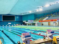 -重庆市奥林匹克体育中心-游泳跳水馆