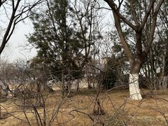 -济南国际园博园