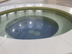 -碧中海汤泉汗蒸酒店