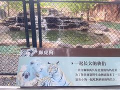 -北京野生动物园