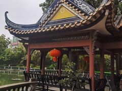 -碧江金楼