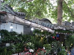 -青石桥花鸟鱼虫市场(叠翠城店)