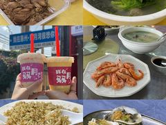 -广东惠东海龟国家级自然保护区