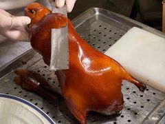 -上海总会SHANGHAICLUB(兴业太古汇店)