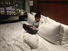 -影汇之星8字形摩天轮