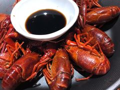 -旺小胖小龙虾