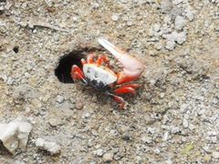 -北海金海湾红树林生态旅游区