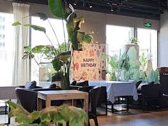 -百好乐宠物友好餐厅(朝外大街店)