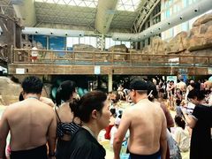 -杭州开元森泊度假乐园