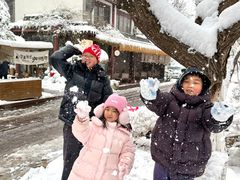 -济南国际园博园