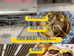 -白洋淀景区