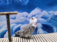 -成都浩海立方海洋公园