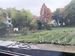 -野蔓果·山野菜(西湖景区·龙井茶田店)