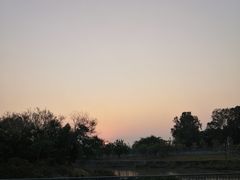 -福田红树林生态公园