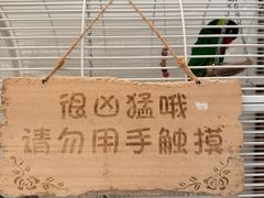 -大潮淮·淮扬菜(何园旗舰店)