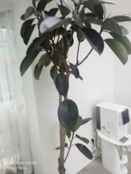 -HEYAN荷妍专业脱毛连锁机构