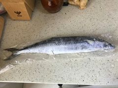 -众彩物流水产市场